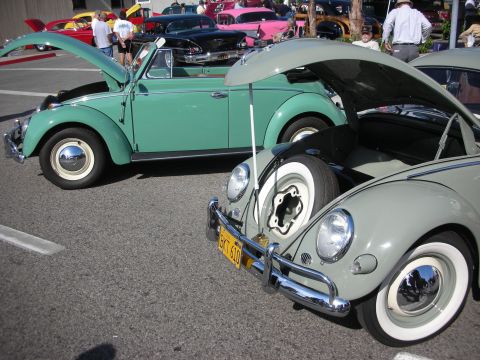 1998 Ford Crown Victoria - Two classic VW Beetles on display, hoods up, at what appears to be a car show.