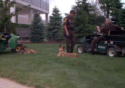 2000 Ford Crown Victoria - MSP's Finest and a couple Troopers