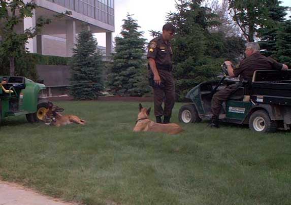 MSP's Finest and a couple Troopers