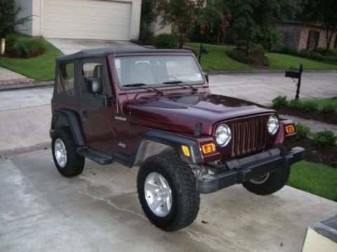 New Jeep - 1995 Ford Bronco