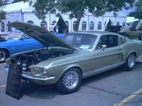 2000 Ford Crown Victoria - Shelby Mustang GT 500