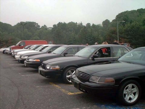 2000 Ford Crown Victoria - Several black Ford Crown Victorias are parked in a row, with a red van visible in the background.
