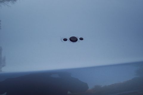 2001 Ford Crown Victoria - Close-up of a car's hood showing three small circular indentations.