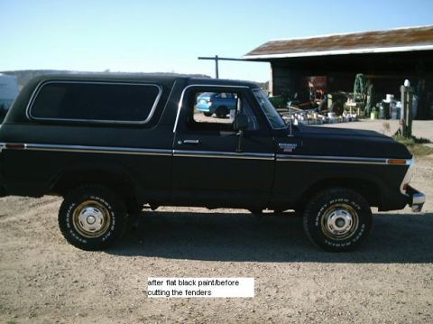 1979 Ford Bronco photo