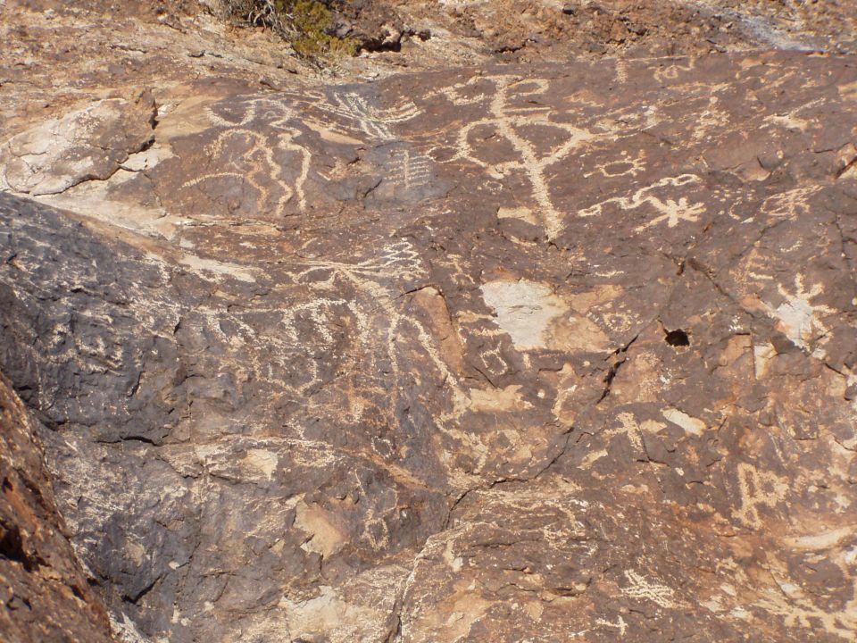 Dense panel of petroglyphs on a dark desert rock surface