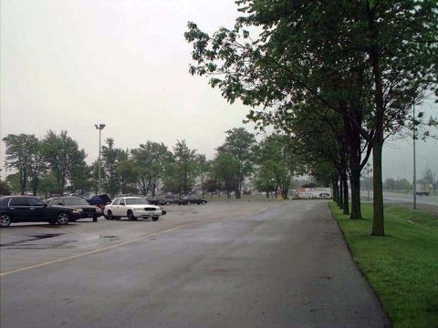 2000 Ford Crown Victoria - Several cars are parked in a lot on a cloudy day, with trees bordering the scene.
