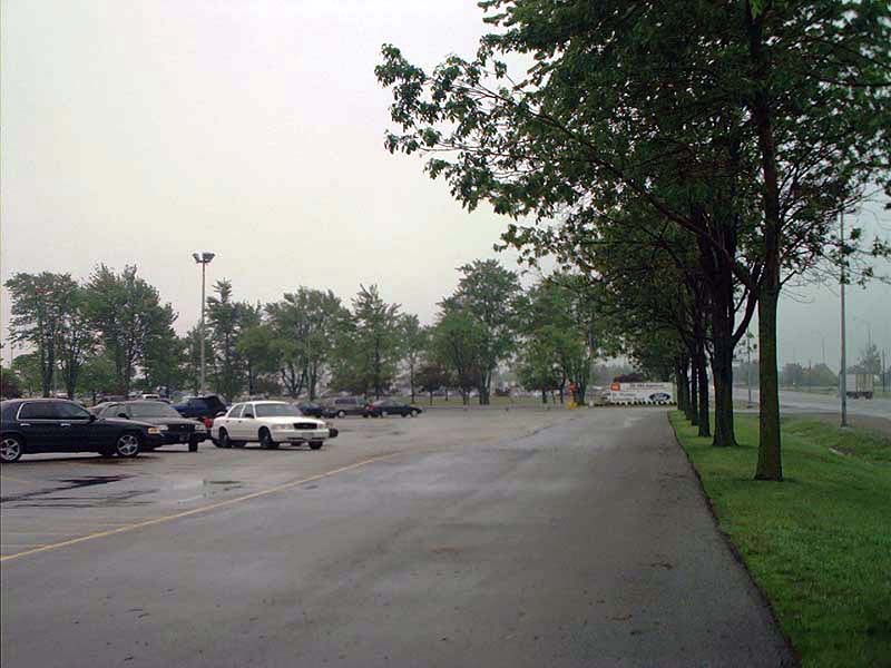 2000 Ford Crown Victoria parked in a lot with other cars, trees line the right side