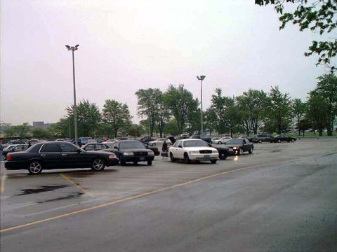 2000 Ford Crown Victoria - Several Ford Crown Victorias are parked in a lot under an overcast sky.