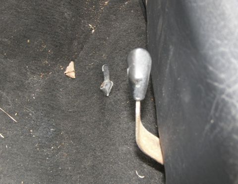 1974 Ford Bronco - The vehicle's interior floor shows dirt, debris, and a shifter knob with broken plastic pieces nearby.
