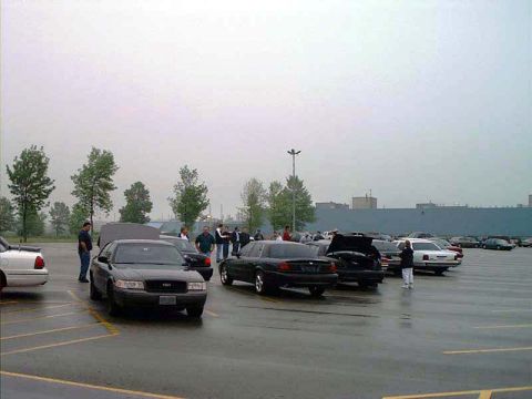 2000 Ford Crown Victoria - Several Ford Crown Victorias are gathered in a parking lot on an overcast day.