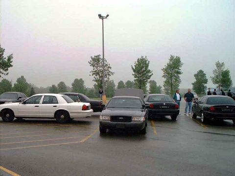 2000 Ford Crown Victoria - A fleet of Ford Crown Victorias, including a black model in the foreground, are parked in a lot on a cloudy day.