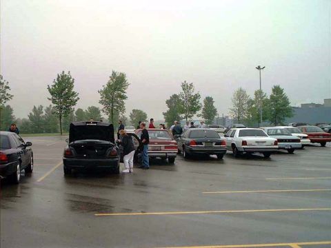 2000 Ford Crown Victoria - A group of Ford Crown Victorias are gathered in a parking lot.