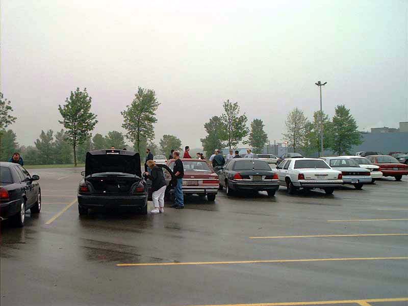 Several Ford Crown Victorias parked in a lot on a cloudy day