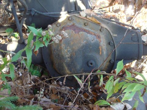 1996 Ford Bronco - Rusted rear axle differential covered in dirt and surrounded by foliage.