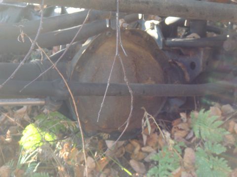 1996 Ford Bronco - The rear differential assembly is visible, surrounded by natural elements like branches and fallen leaves.