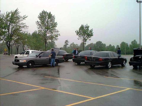 2000 Ford Crown Victoria - Multiple Ford Crown Victorias are gathered in a wet parking lot under an overcast sky.