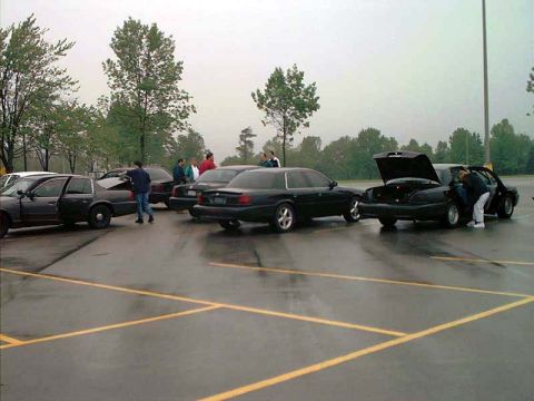2000 Ford Crown Victoria - Several black Ford Crown Victoria sedans are parked in a wet lot under an overcast sky.