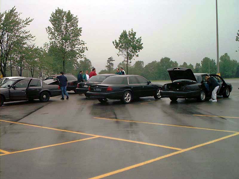 Black Ford Crown Victoria sedans parked in a lot, one with trunk open