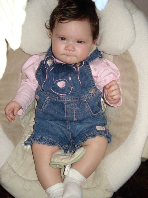 2000 Ford Crown Victoria - A baby is relaxing in a plush bouncer, dressed in a cute outfit.
