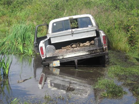 1979 Ford F-150 - This Ford F-150 appears to be stuck in a watery ditch, with its driver's side door open.