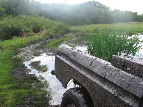 1979 Ford F-150 - A heavily mud-splattered 1979 Ford F-150 navigates a wet, grassy track next to a pond.