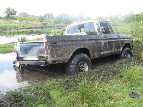1979 Ford F-150 - A mud-covered 1979 Ford F-150 is stuck in a muddy, watery ditch.