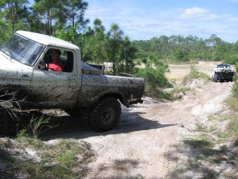 1979 Ford F-150 - Two trucks navigate a sandy, wooded trail with one truck covered in mud.