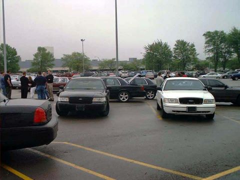 2000 Ford Crown Victoria - Several Ford Crown Victorias are parked in a lot under an overcast sky.