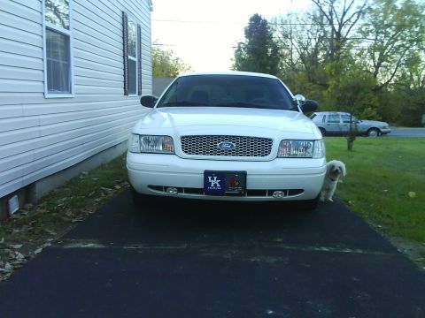2003 Ford Crown Victoria - A white 2003 Ford Crown Victoria is parked in front of a house, with a small dog standing nearby. Another vehicle is visible in the backgro…