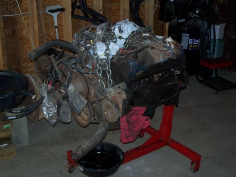 1979 Ford F-150 - Engine assembly hoisted on a red stand, with an oil pan positioned underneath to catch drips.