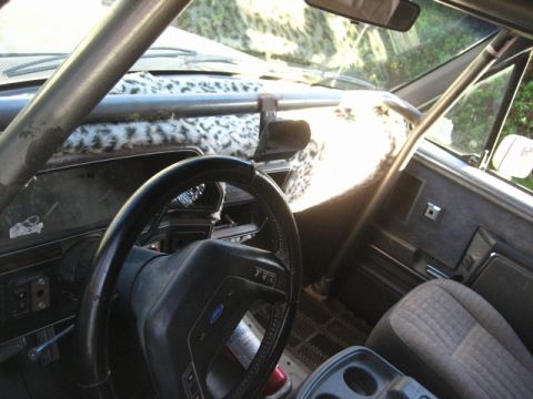 1989 Ford Bronco - The interior of a truck shows a roll cage and a custom dash cover.