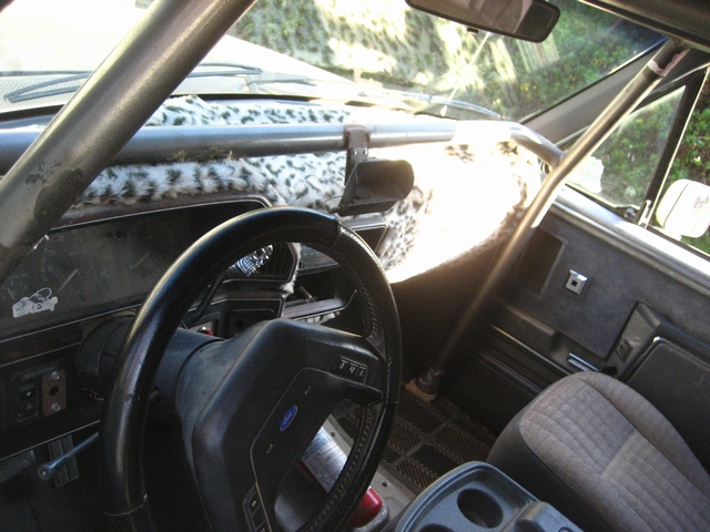 Ford truck interior with steering wheel, roll cage tube and leopard-print dash cover