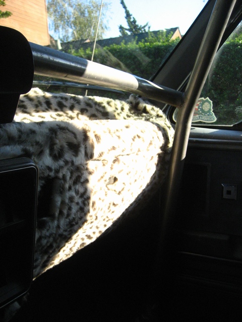 1989 Ford Bronco - Leopard print seat covers and roll cage inside a vehicle's interior.
