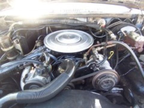 1986 Ford Bronco - Close-up view of a vehicle's engine bay, showing the air cleaner and drive belts.