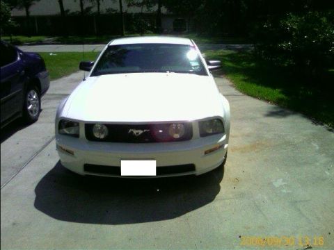 2005 Ford Mustang photo