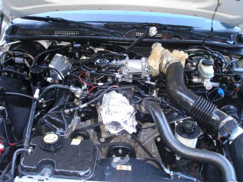 2001 Ford Crown Victoria - An engine wash and detailing was long overdue. Here's the engine bay after the wash, scrubbing, and detailer was applied.