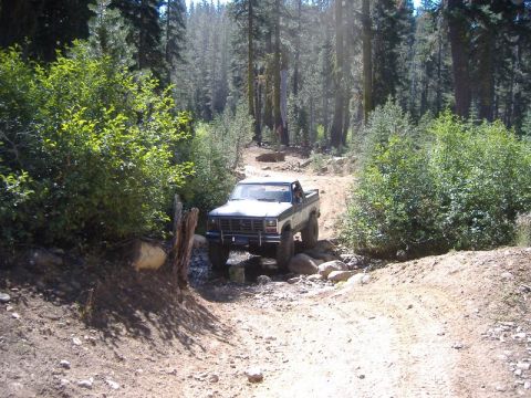 1985 Ford Bronco - Ford pickup truck drives off-road through a forest trail with trees and rocks.