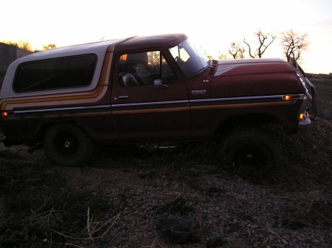 1979 Ford Bronco photo