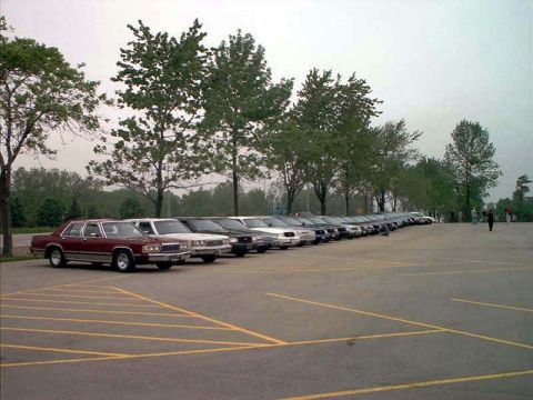 2000 Ford Crown Victoria - Multiple sedans are parked in a lot under a cloudy sky.
