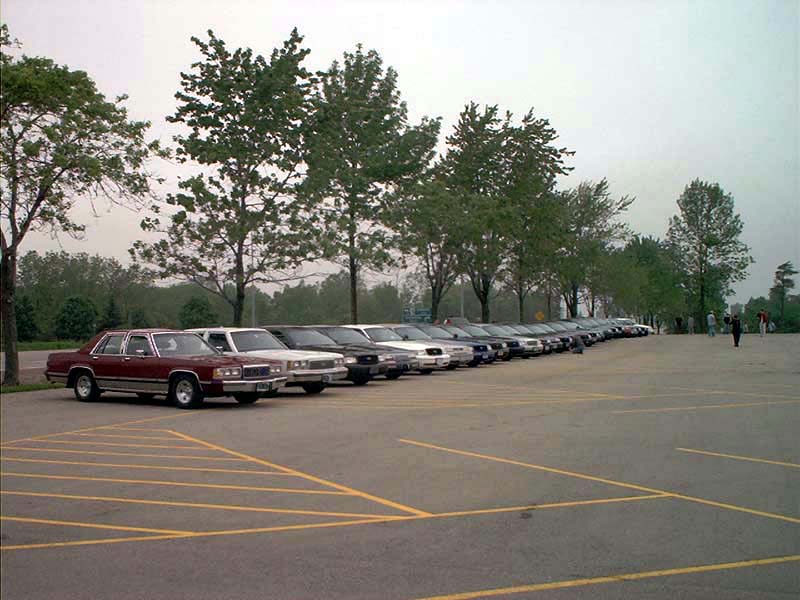 Row of sedans parked in a lot, some with trees behind them