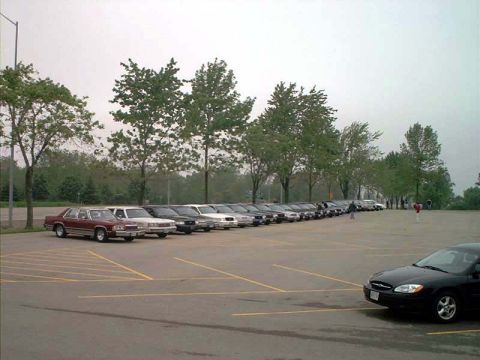 2000 Ford Crown Victoria - A line of Ford Crown Victorias are parked in a lot under an overcast sky.