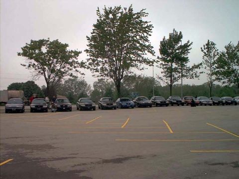 2000 Ford Crown Victoria - A line of sedans, including a 2000 Ford Crown Victoria, are parked in an outdoor lot.