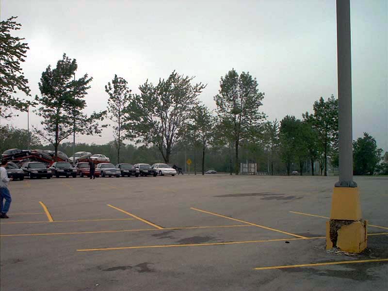 Parking lot with many cars parked, trees in background, overcast sky