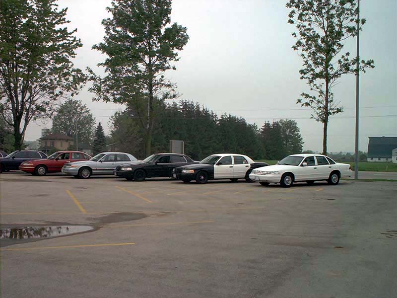 Several Ford Crown Victoria police cars parked in a lot, one is two-tone black and white