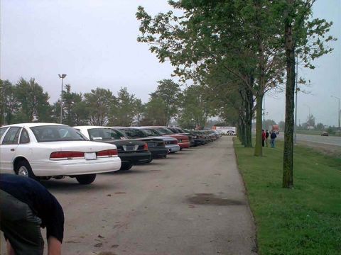 2000 Ford Crown Victoria - A line of Ford Crown Victorias are parked on a cloudy day next to a grassy area and a road.