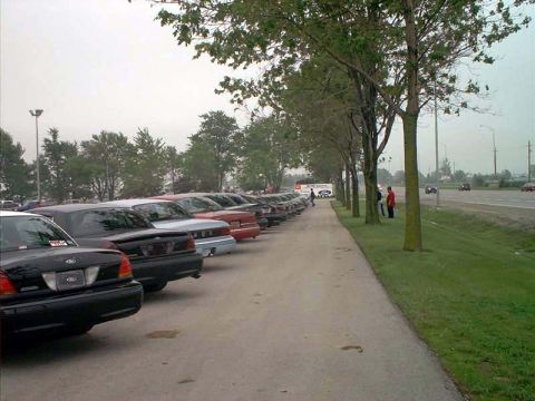 2000 Ford Crown Victoria - A line of black Ford Crown Victoria police cars are parked side-by-side on a cloudy day.