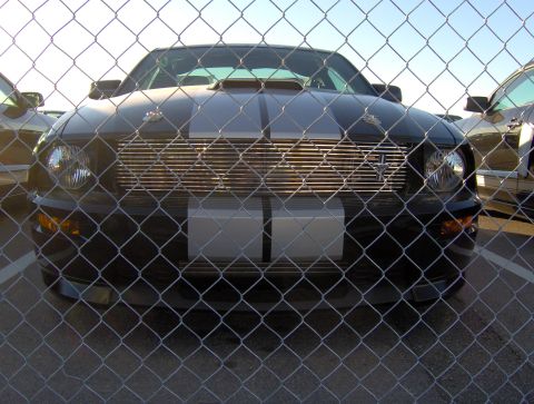 1978 Ford Bronco - A black Ford Mustang Shelby GT500 is parked behind a chain-link fence, its front grille and headlights visible.