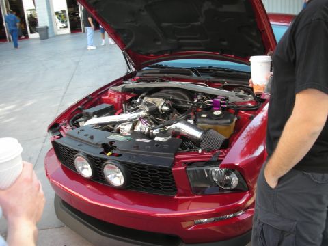 1998 Ford Crown Victoria - Front view of a red Ford Mustang with the hood open, revealing a supercharged engine and cold-air intake as onlookers hold drinks.
