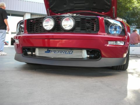 1998 Ford Crown Victoria - Low front view of a red Ford Mustang with dual round fog lights and a large front-mounted intercooler behind the lower grille.