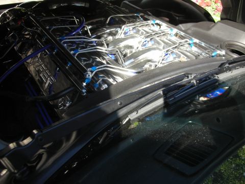 1998 Ford Crown Victoria - Close-up under a dark hood of a polished engine with chrome covers and numerous blue-tipped braided lines.